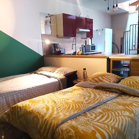 Spacieux Appartement Au Calme 15Min Sud De Lyon Proche Metro Et Gare Confluence Aquarium Gerland Oullins Dış mekan fotoğraf