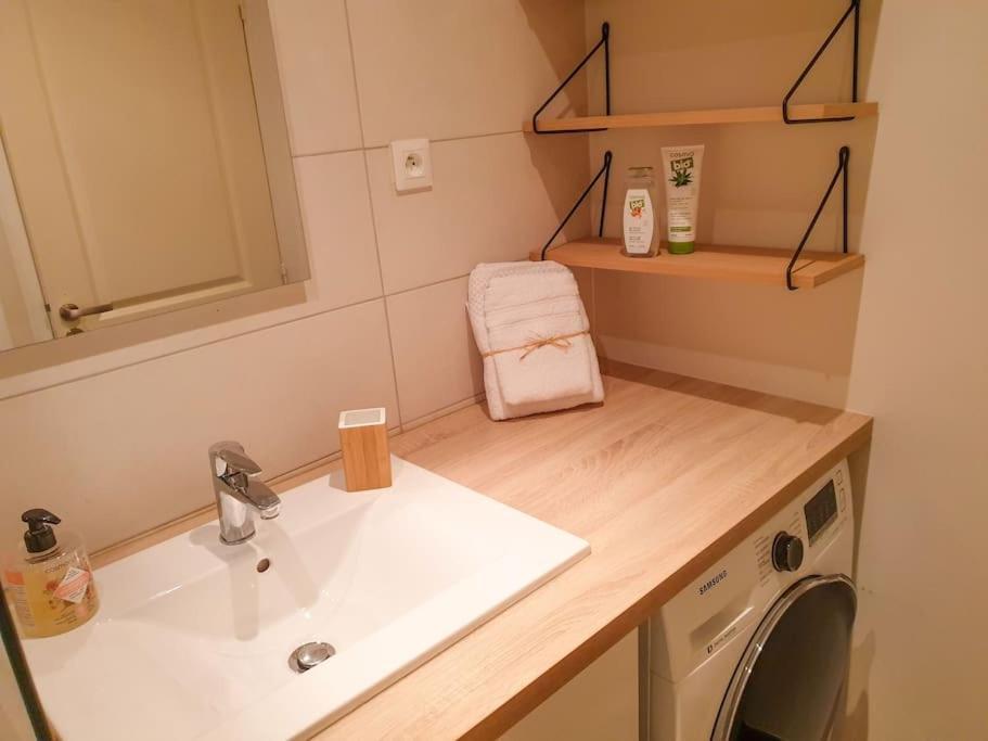 Spacieux Appartement Au Calme 15Min Sud De Lyon Proche Metro Et Gare Confluence Aquarium Gerland Oullins Dış mekan fotoğraf